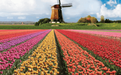 Rijn- en Bollenstreekcompetitie 2026